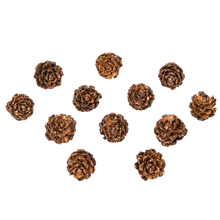 Charger l'image dans la galerie, Mini Pommes de Pin Paillettés chocolat
